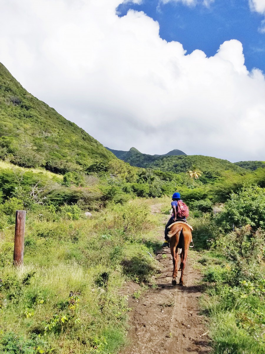 Horseback Riding St. Kitts Her Heartland Soul