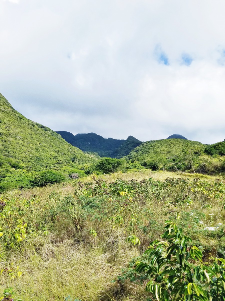 Horseback Riding St. Kitts Her Heartland Soul