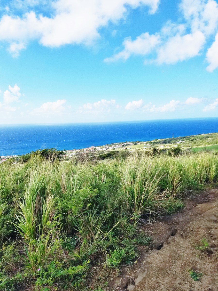 Horseback Riding St. Kitts Her Heartland Soul