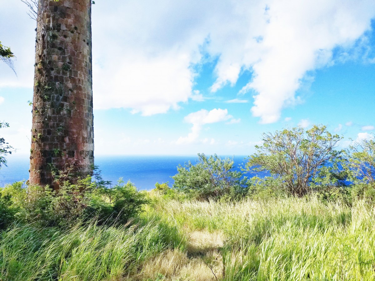 Horseback Riding St. Kitts Her Heartland Soul