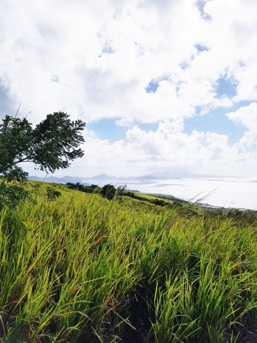 Horseback Riding St. Kitts Her Heartland Soul