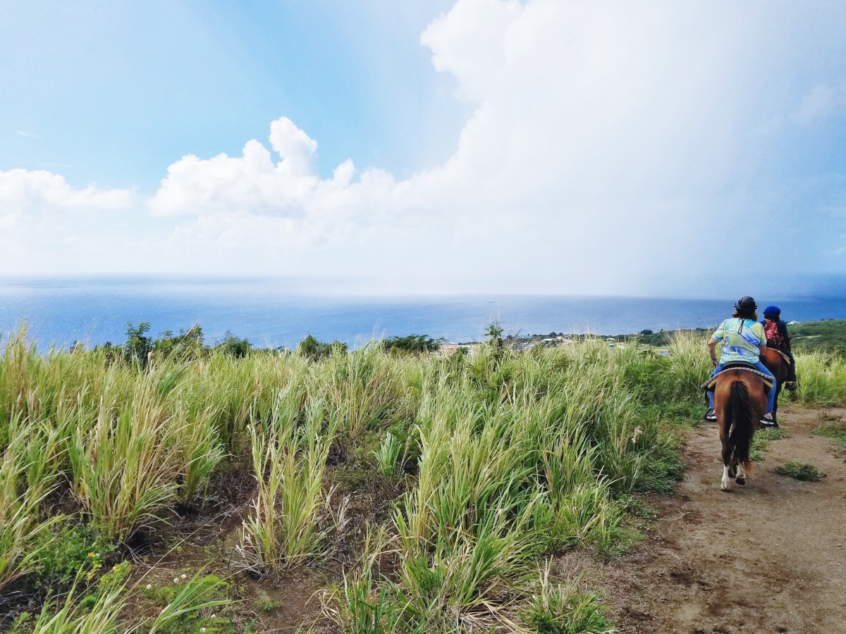 Horseback Riding St. Kitts Her Heartland Soul