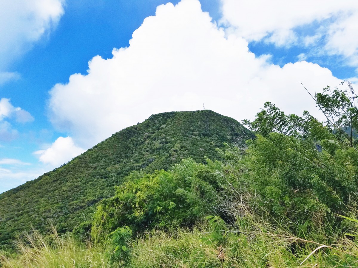 Horseback Riding St. Kitts Her Heartland Soul