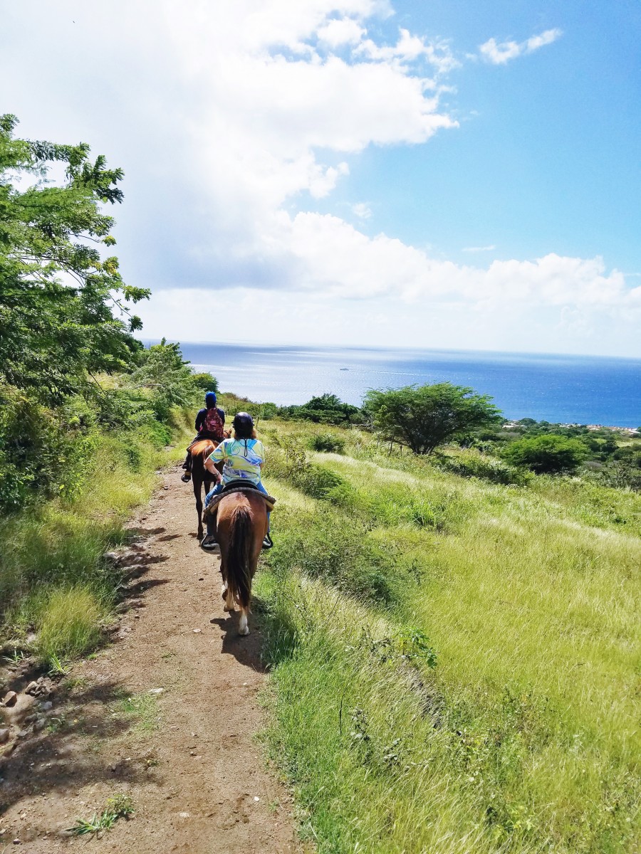 Horseback Riding St. Kitts Her Heartland Soul