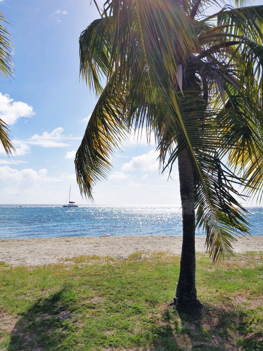 Frigate Bay Beach St. Kitts Her Heartland Soul