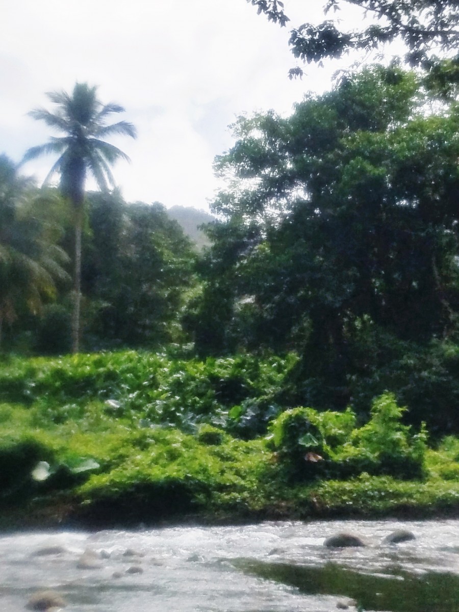 River Rafting in Dominica Her Heartland Soul