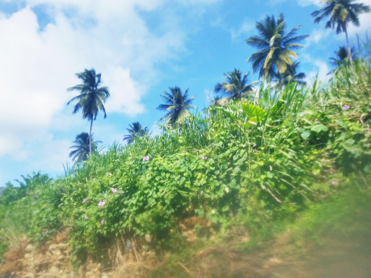 River Rafting in Dominica Her Heartland Soul