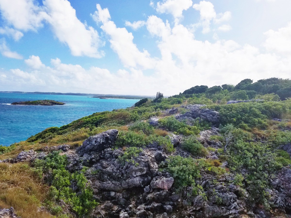 Hiking in Antigua Her Heartland Soul