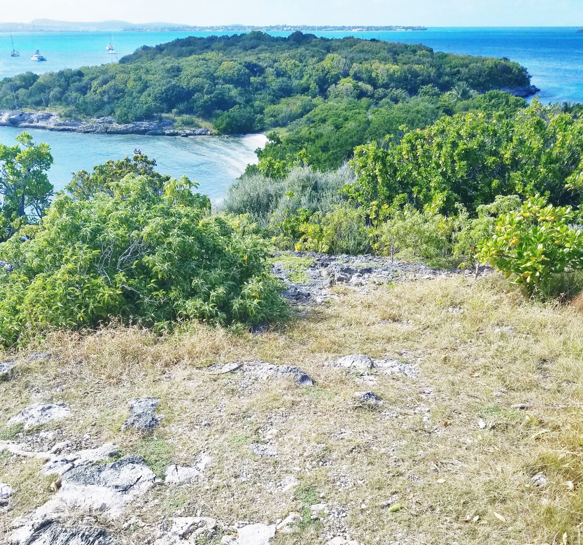 Hiking in Antigua Her Heartland Soul