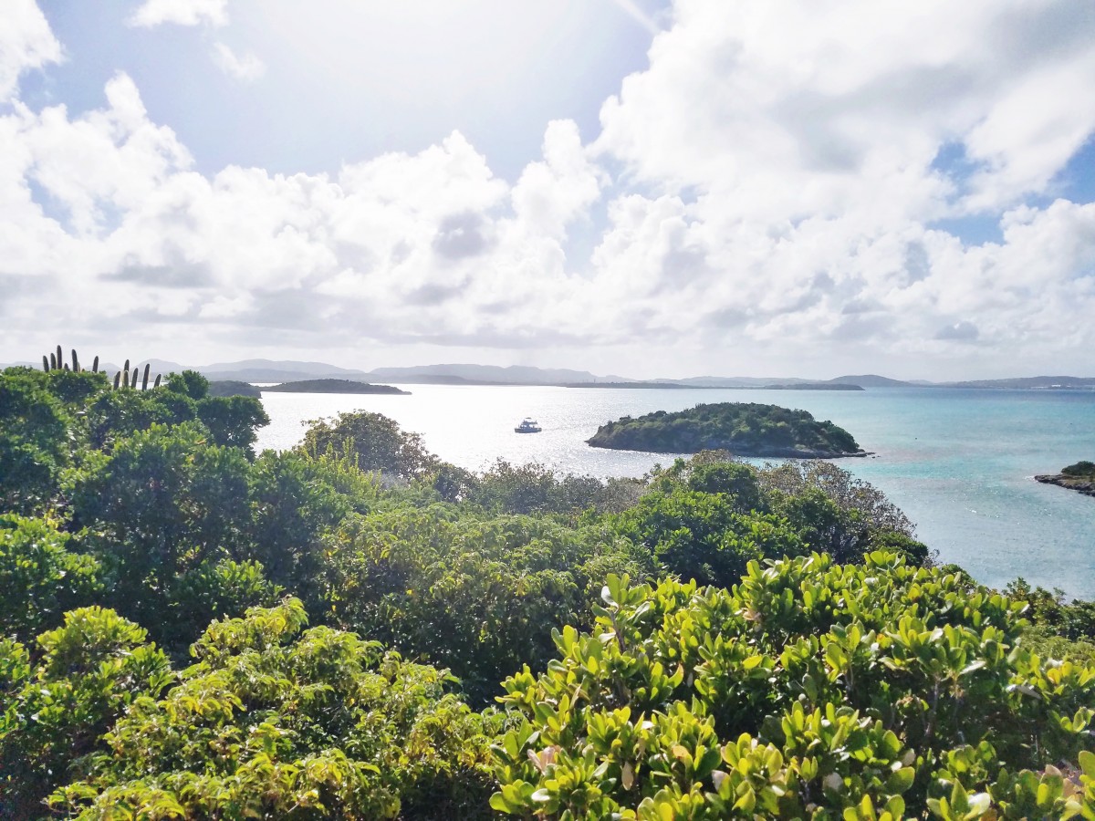 Hiking in Antigua Her Heartland Soul