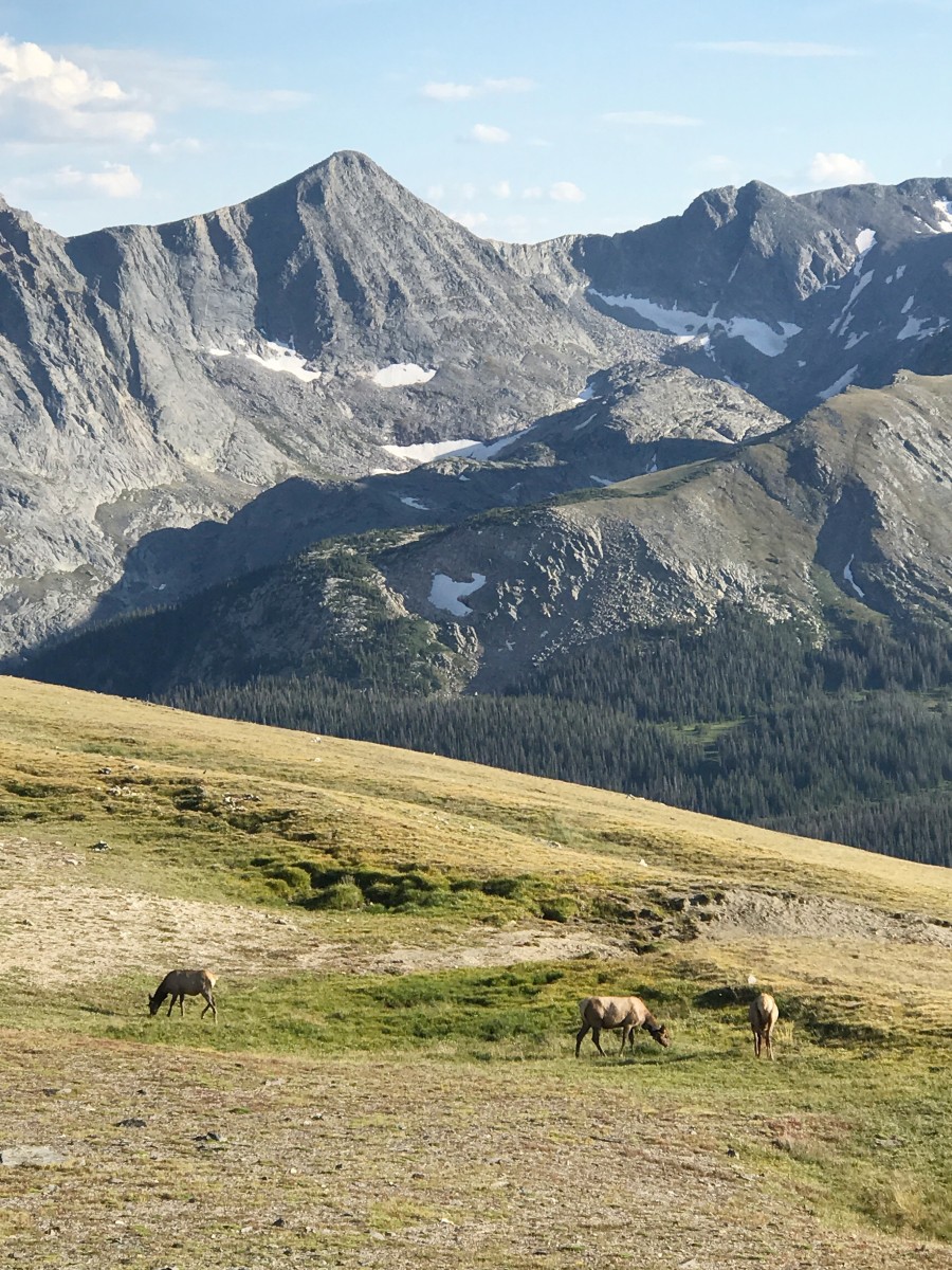 Rocky Mountain National Park Estes Park Colorado Her Heartland Soul