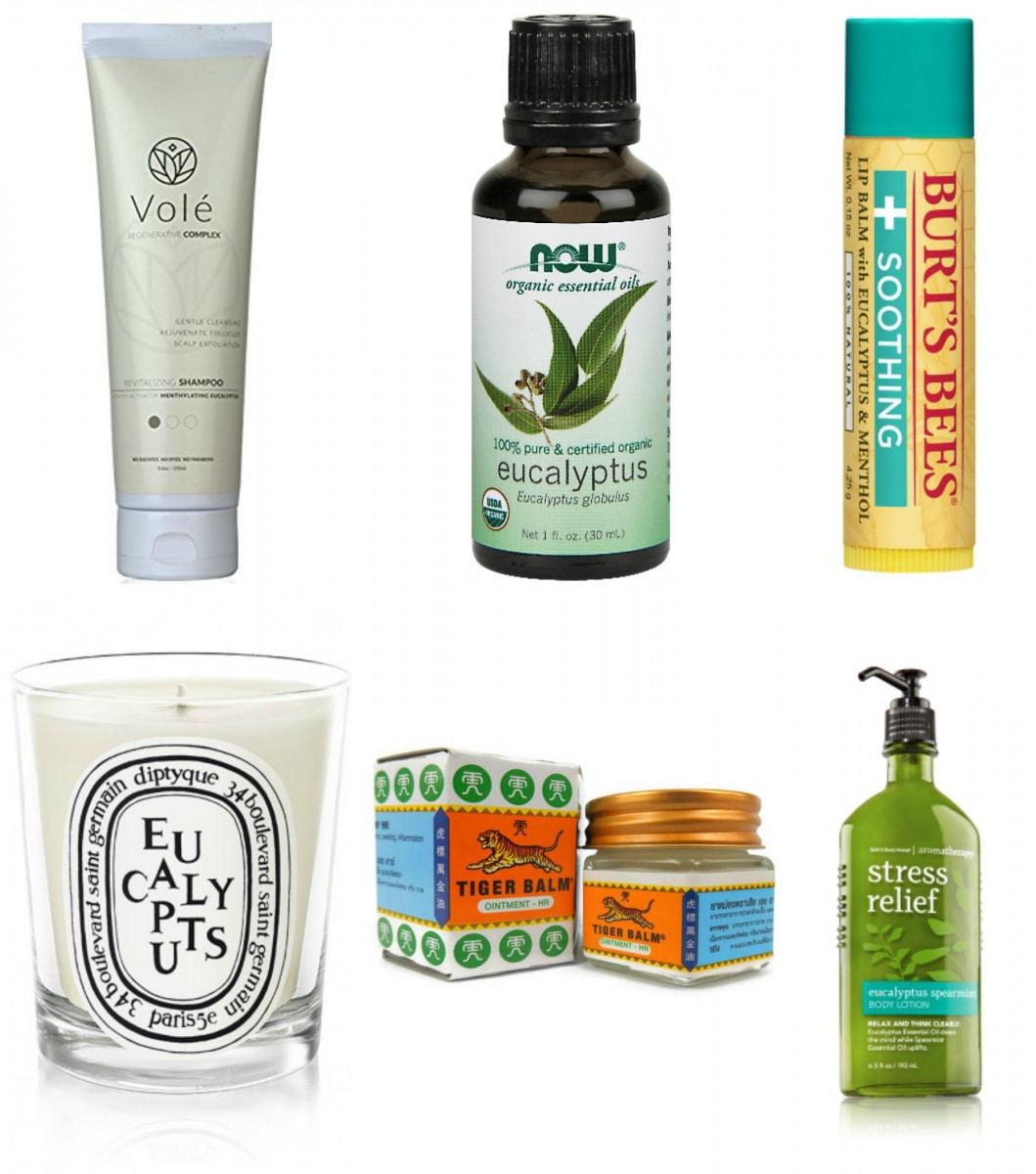 Soothing Eucalyptus Products Her Heartland Soul