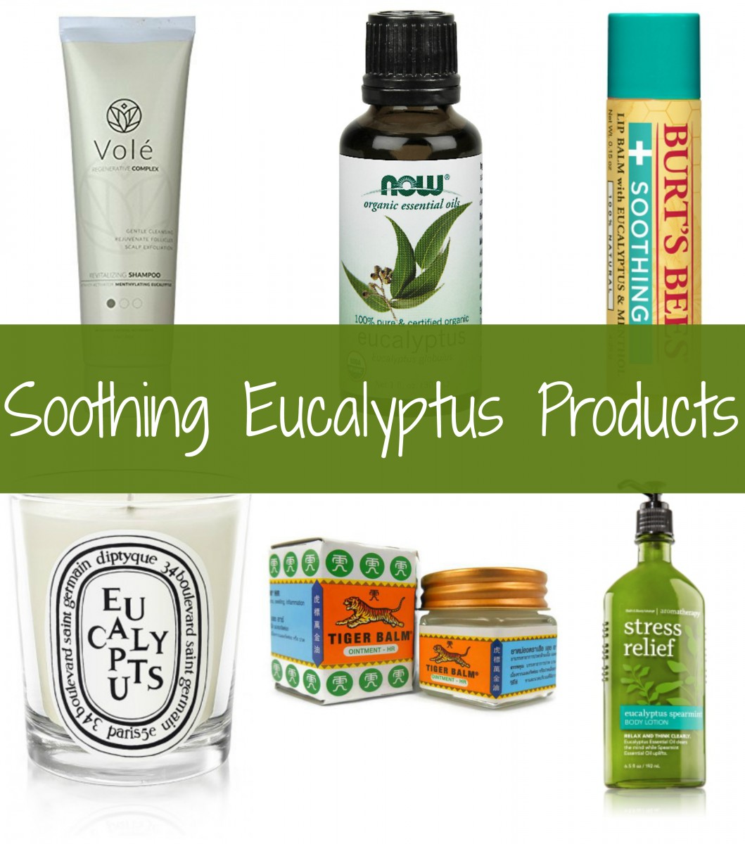 Soothing Eucalyptus Products Her Heartland Soul