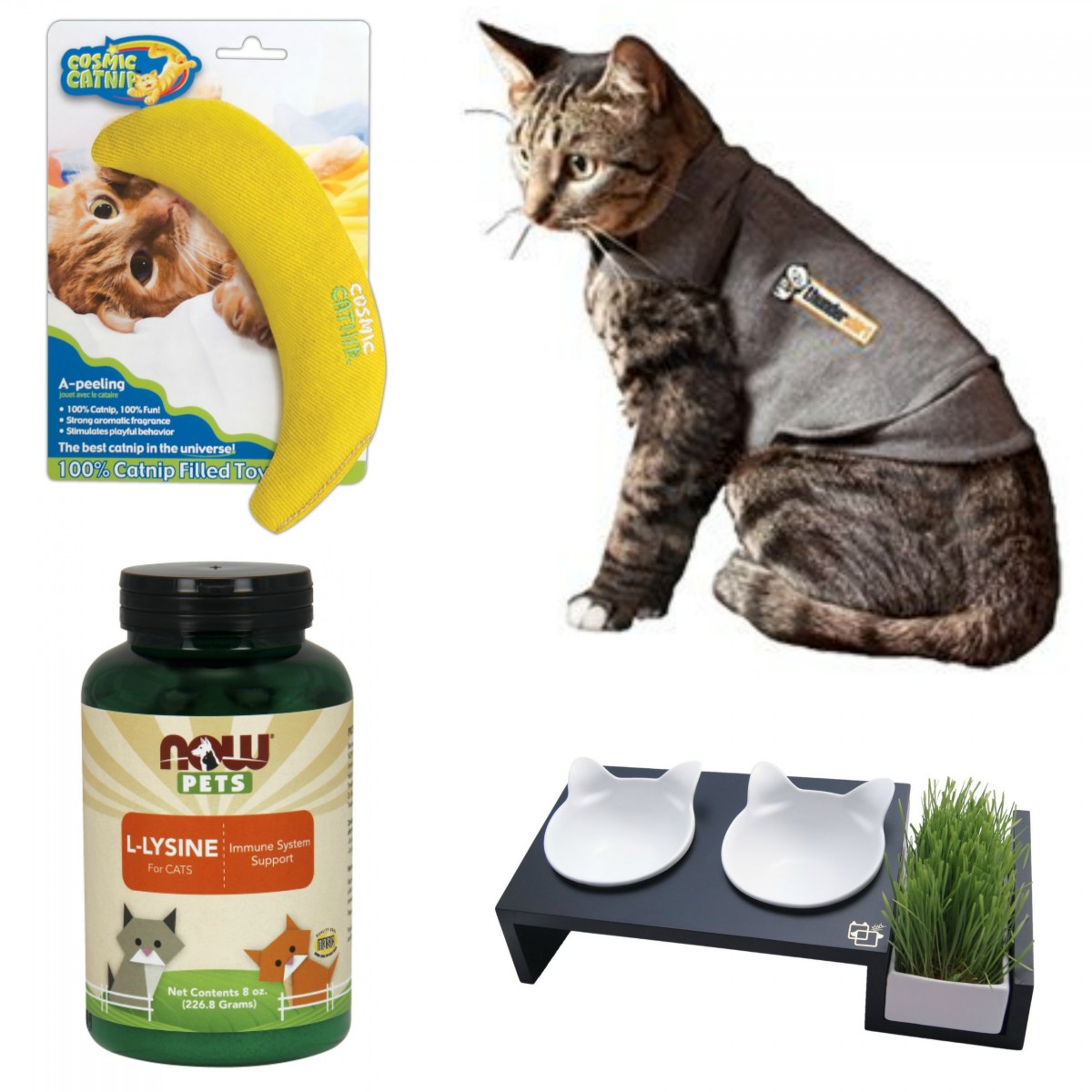 Valentine's Day Presents for Your Cat Her Heartland Soul