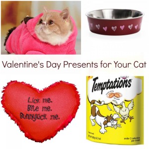 Valentine's Day Presents for Your Cat Her Heartland Soul