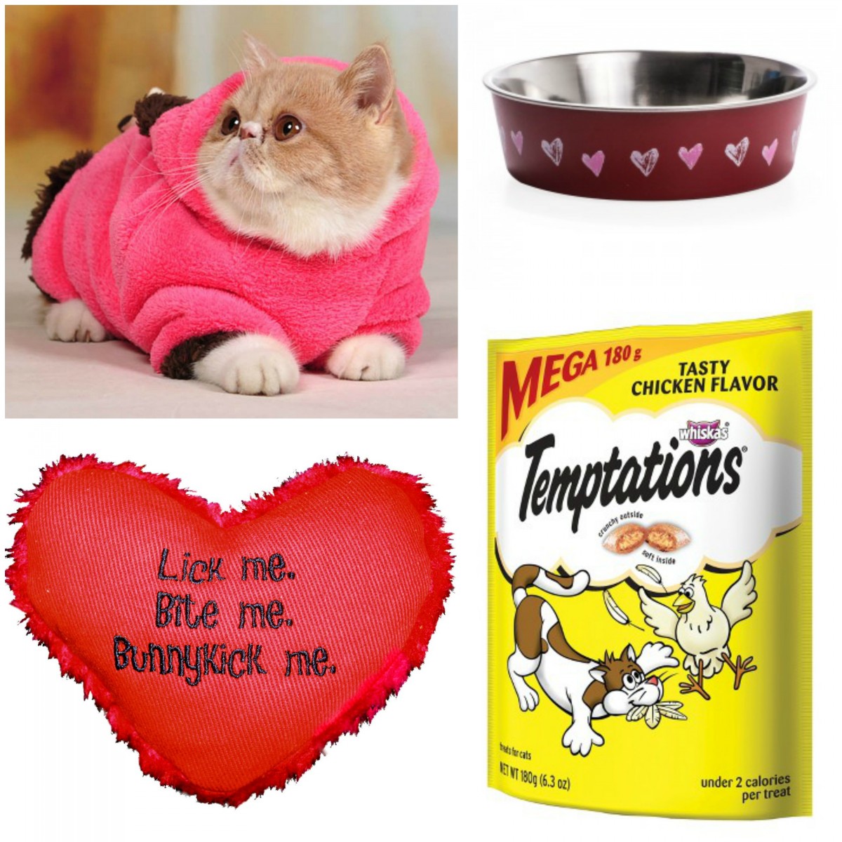 Valentine's Day Presents for Your Cat Her Heartland Soul