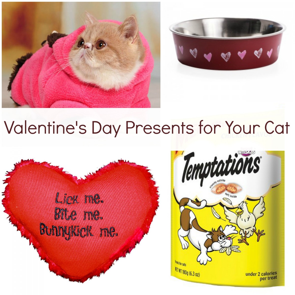 Valentine's Day Presents for Your Cat Her Heartland Soul