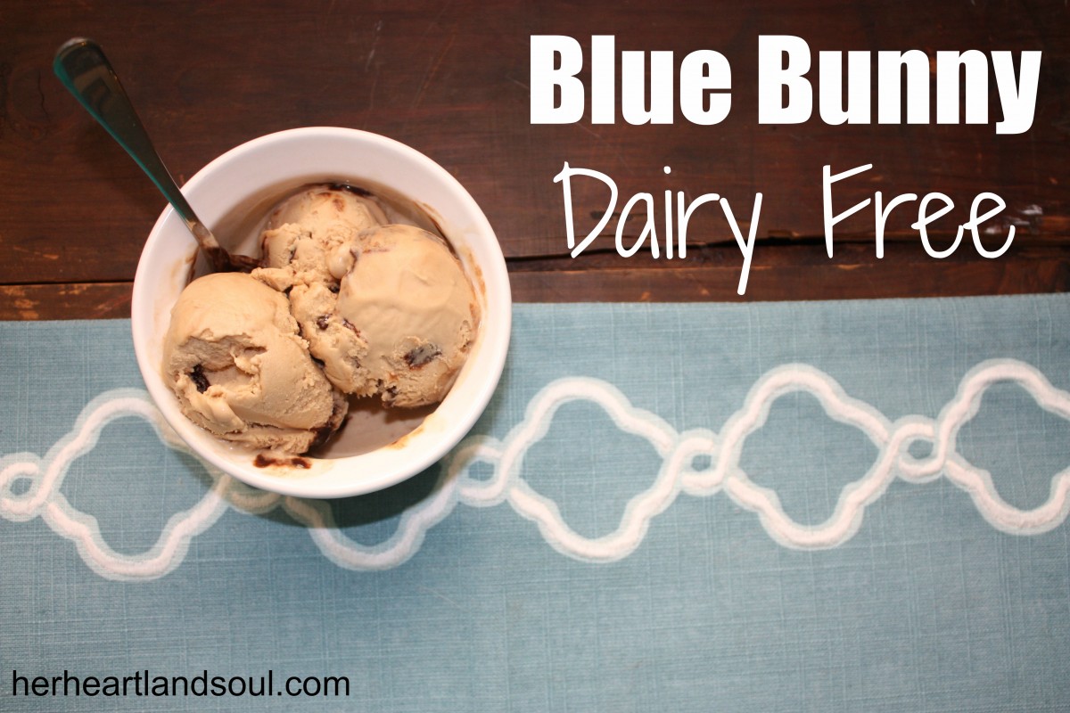 blue bunny dairy free ice cream her heartland soul