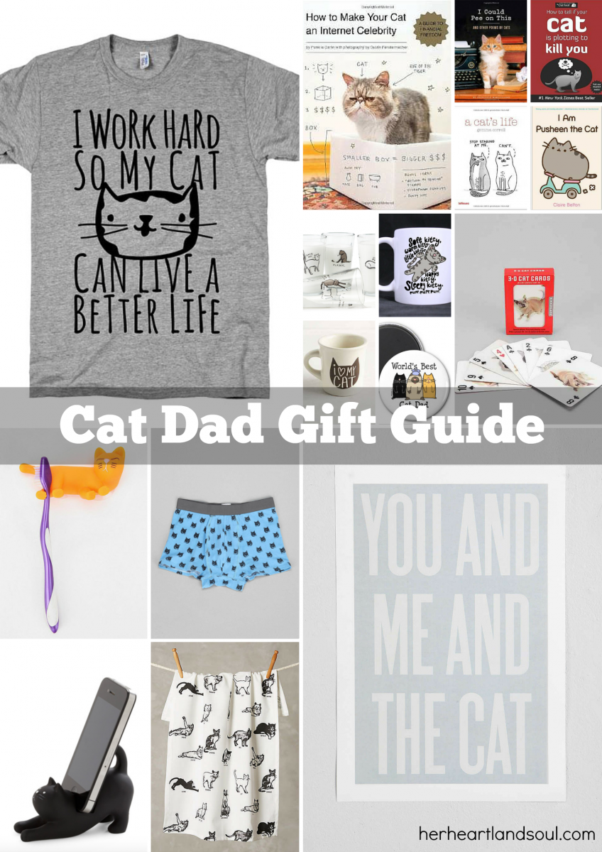 The Ultimate Cat Dad Gift Guide Her Heartland Soul Erin Fairchild