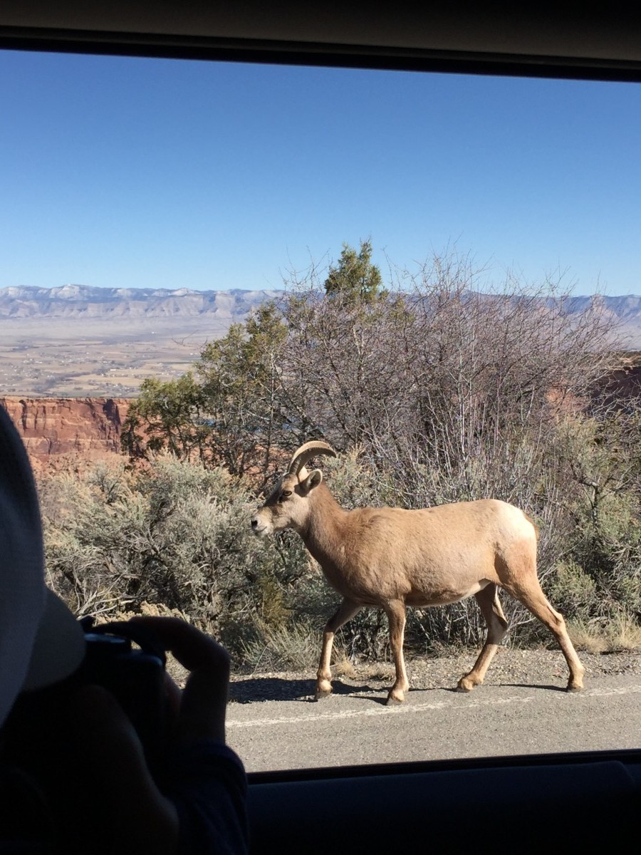 Grand Junction Colorado National Monument Her Heartland Soul