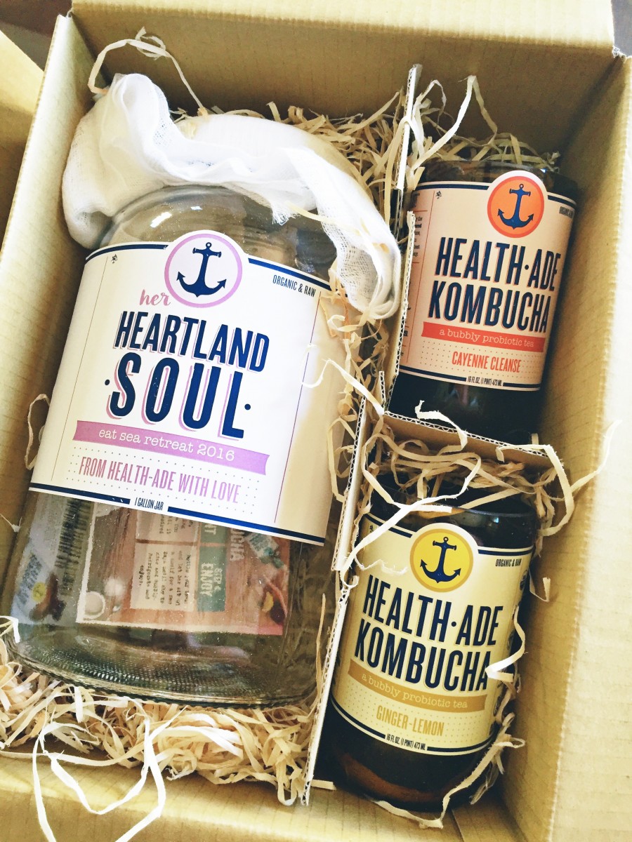 Daina Health-Ade Kombucha Eat Sea Retreat 2016 Her Heartland Soul