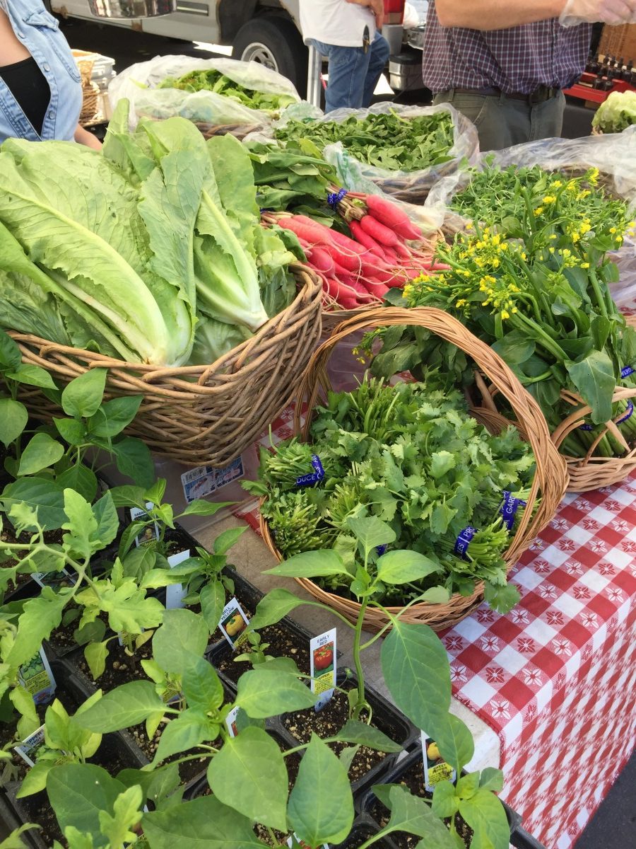 Aksarben Farmers Market Omaha Nebraska Her Heartland Soul