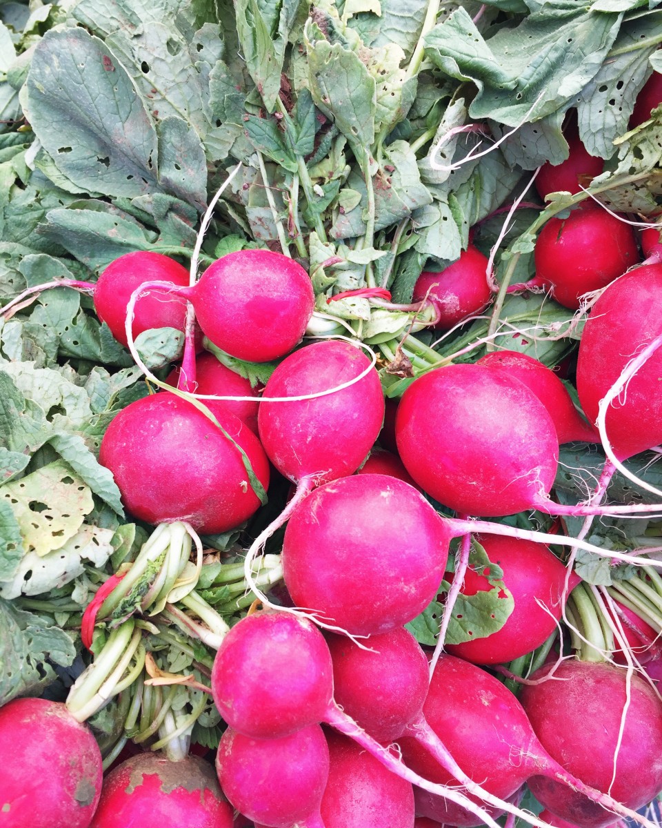 Radishes Omaha Farmers Market Her Heartland Soul