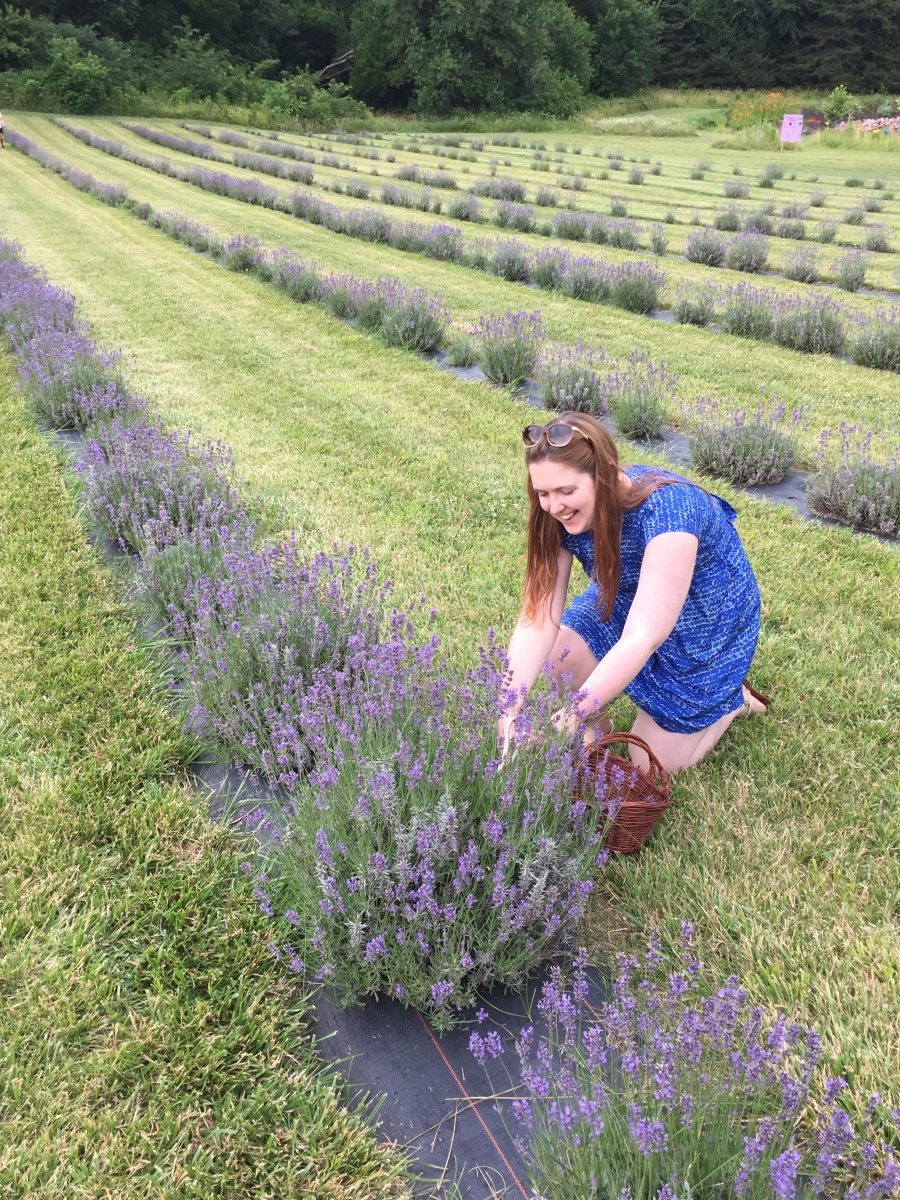 Moonstone Lavender Gardens Her Heartland Soul