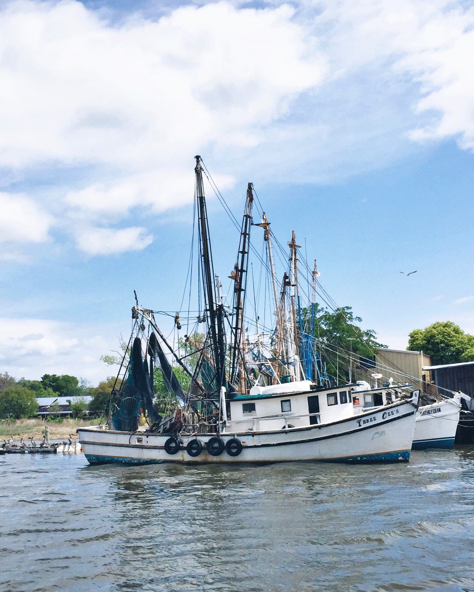 Saint Simons Island Georgia Her Heartland Soul