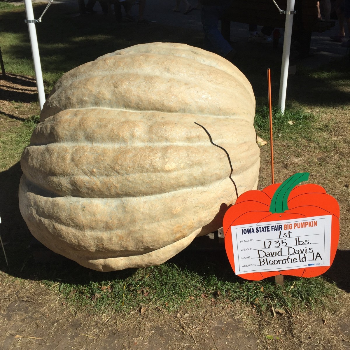 Iowa State Fair 2015 Her Heartland Soul