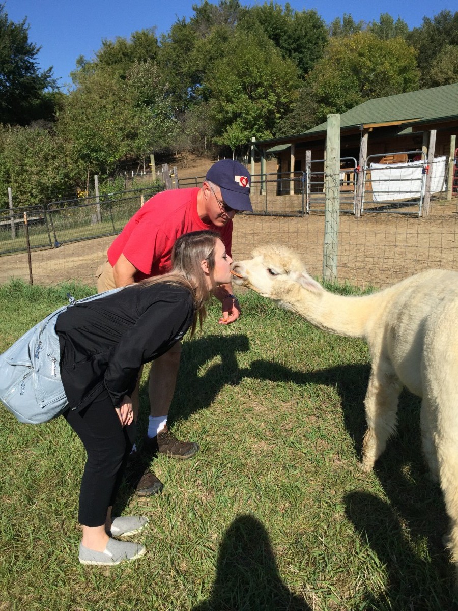 Alpacas of the Heartland Omaha Nebraska Her Heartland Soul