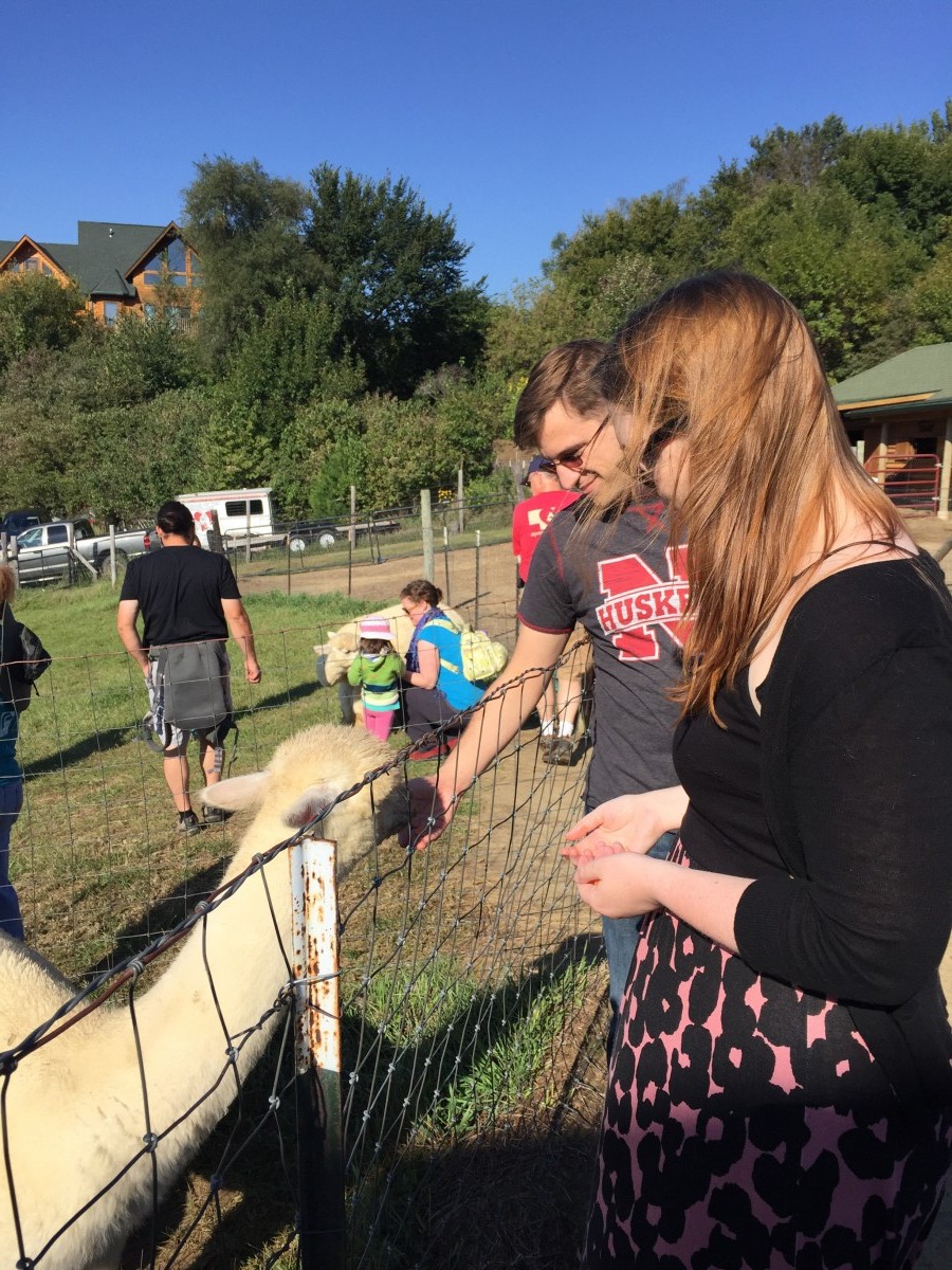 Alpacas of the Heartland Omaha Nebraska Her Heartland Soul