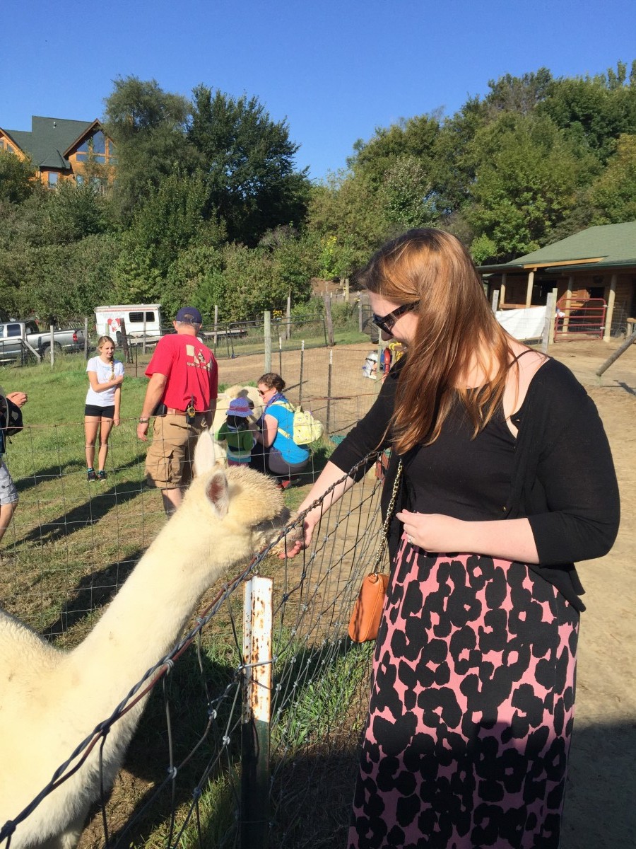 Alpacas of the Heartland Omaha Nebraska Her Heartland Soul