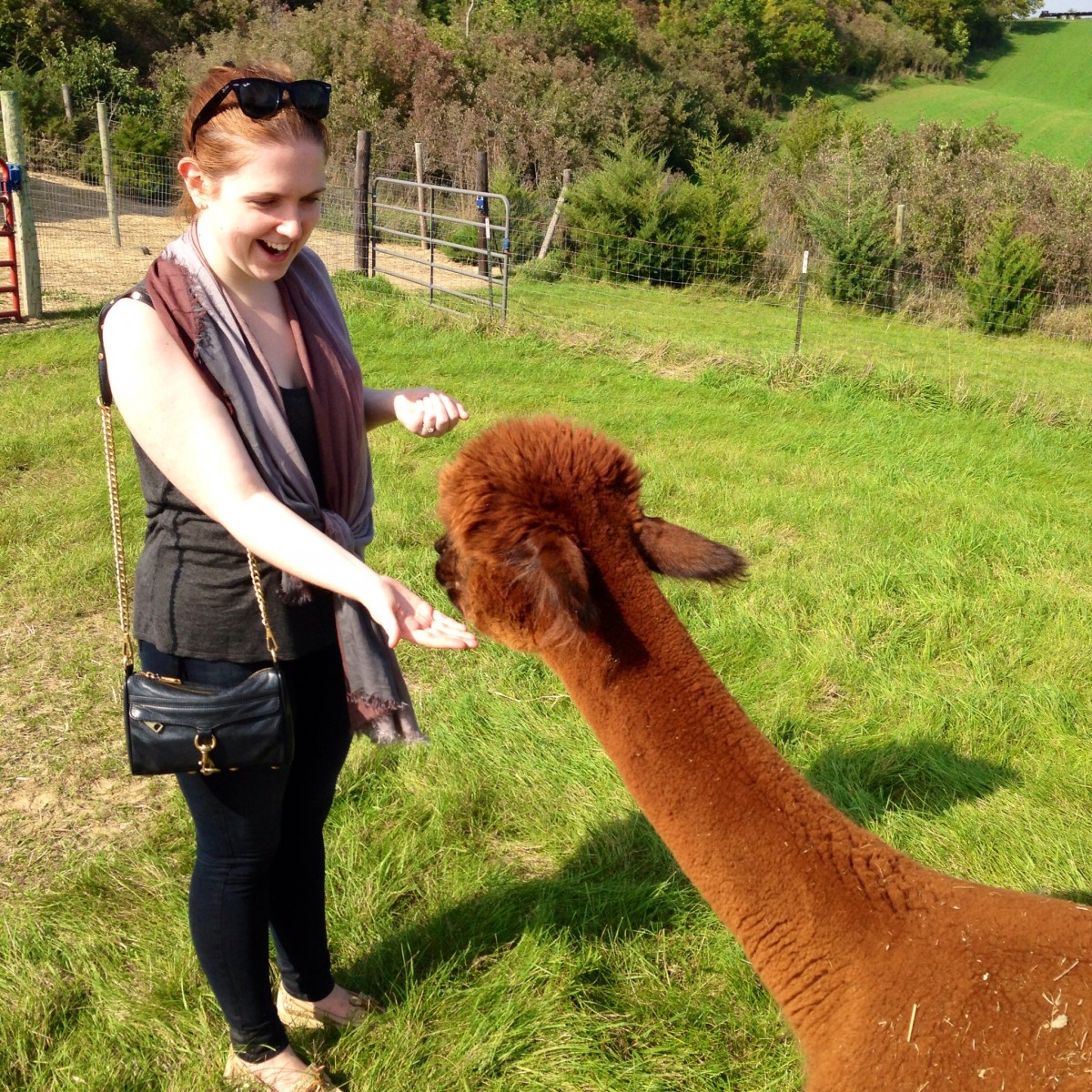 Alpaca 5 Erin Fairchild Her Heartland Soul