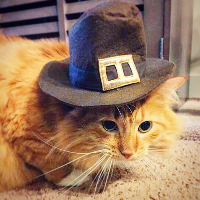 Punkin the Pilgrim Her Heartland Soul