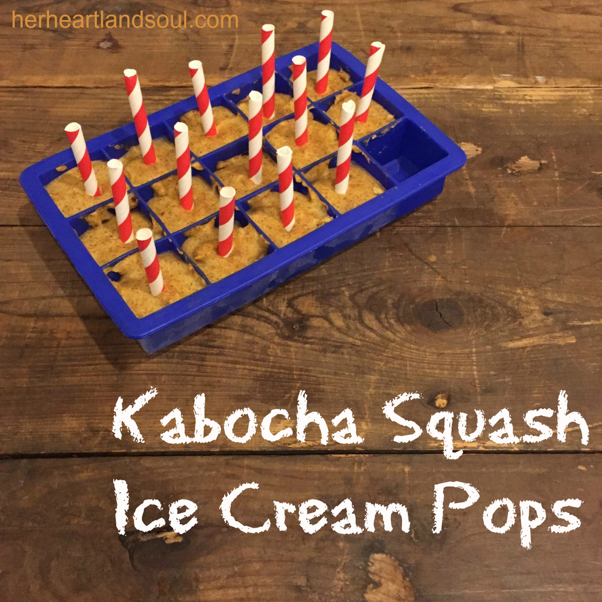 kabocha squash ice cream pops