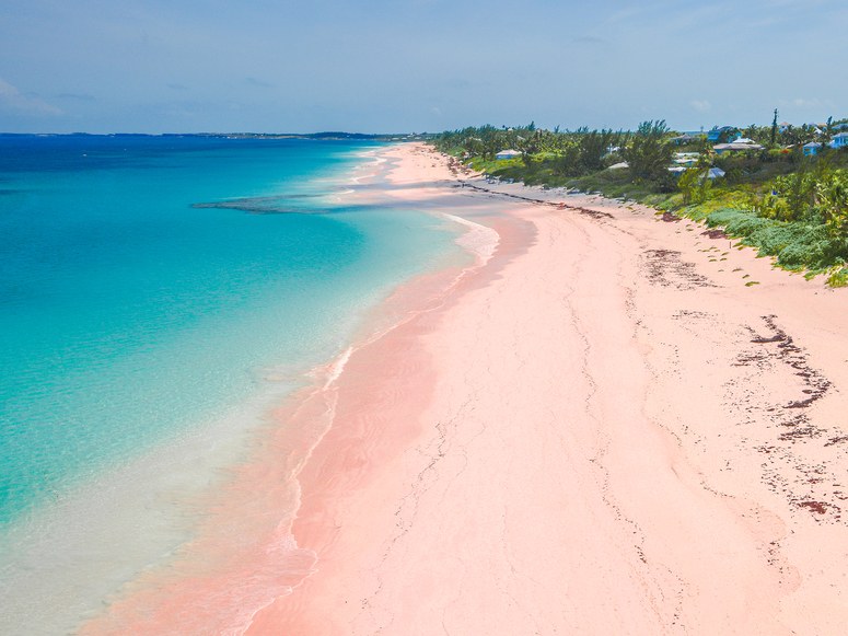 barbuda beach pink sand her heartland soul